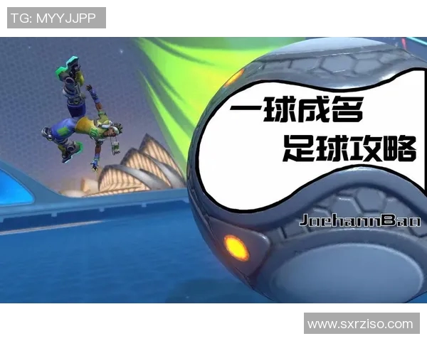 追寻绿茵传奇从足球巨星传记阅读感受激情与智慧 追寻绿茵传奇从足球巨星传记阅读感受激情与智慧