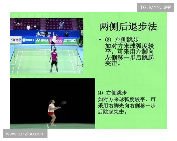 南京羽毛球队战术分析与表现评估全面解读 南京羽毛球队战术分析与表现评估全面解读