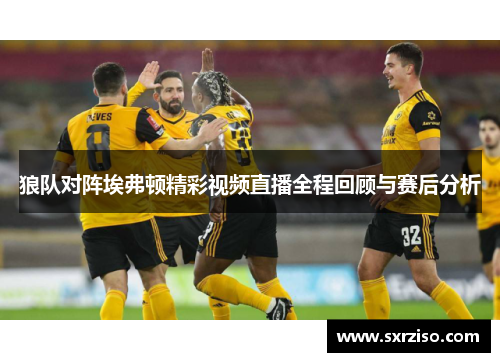 狼队对阵埃弗顿精彩视频直播全程回顾与赛后分析