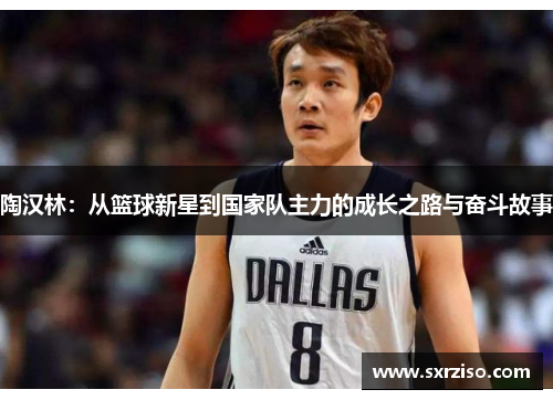 陶汉林：从篮球新星到国家队主力的成长之路与奋斗故事